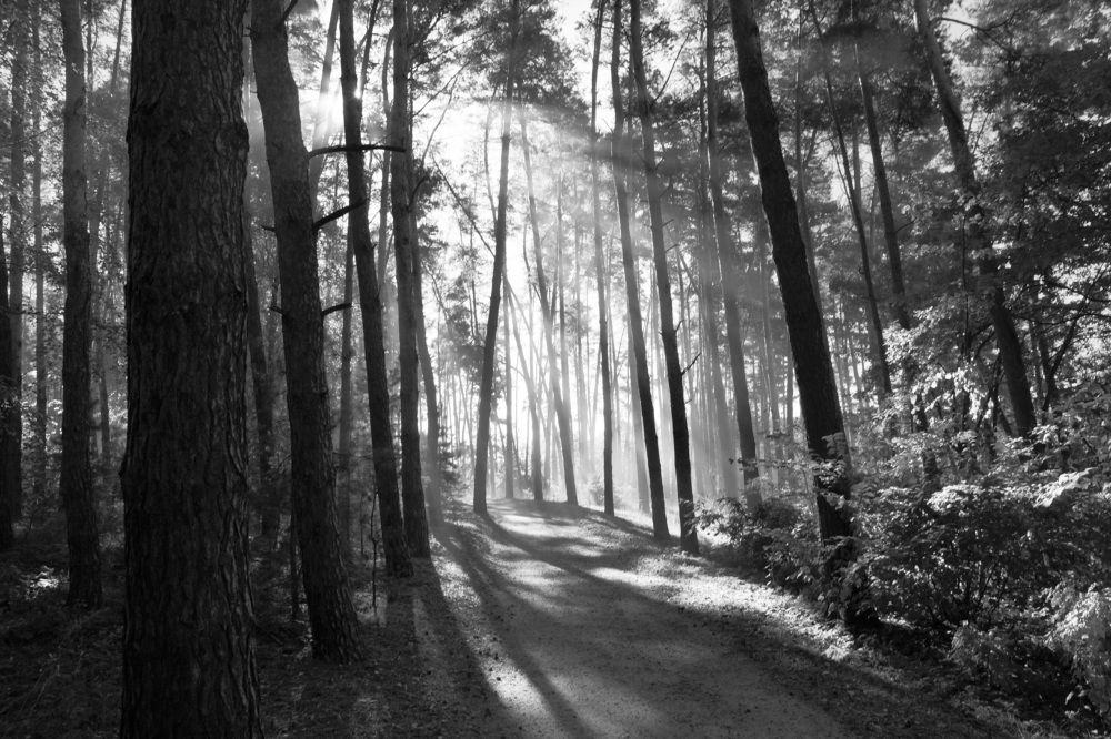 Photograph by Олег Чубайкин