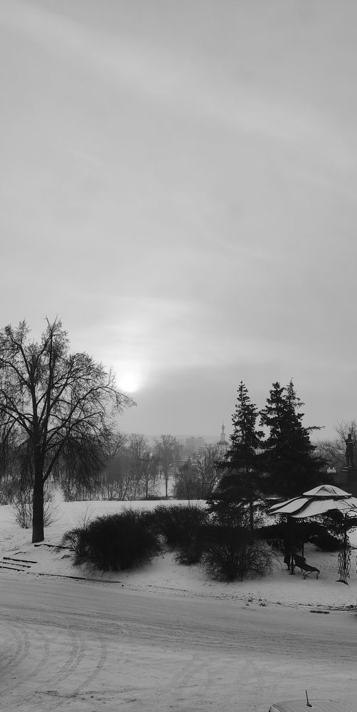 Вид из окна кабинета