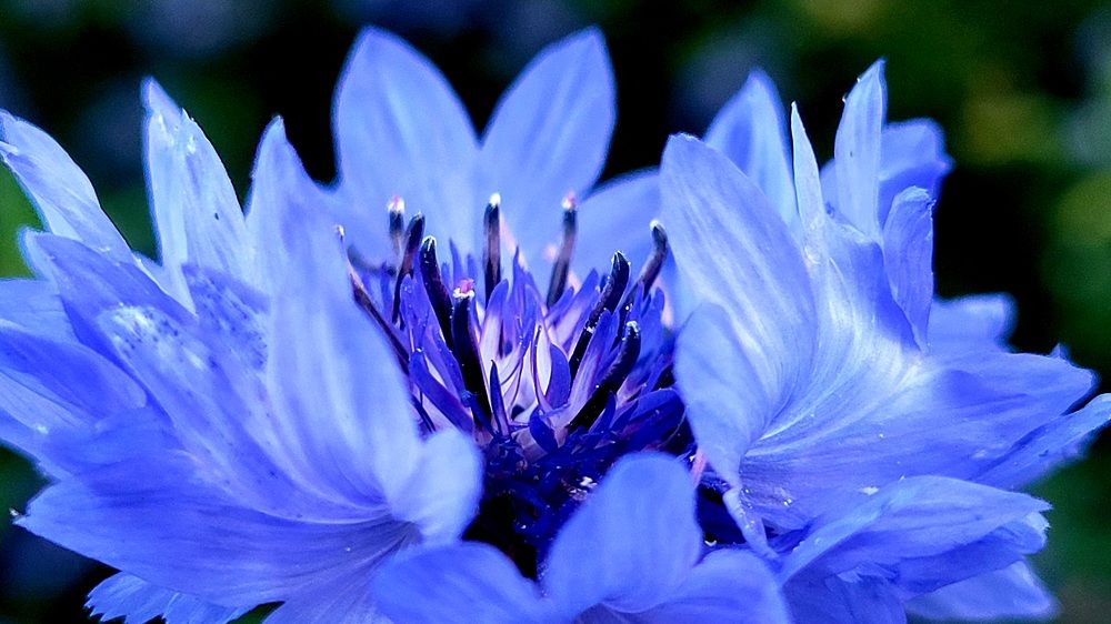 Фотография автора Kate Fontaine