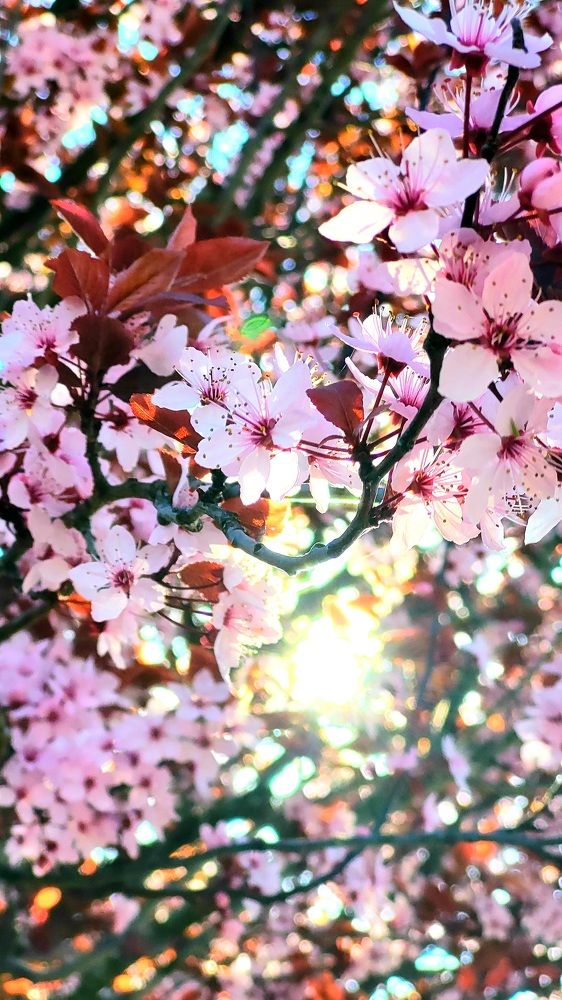 Фотография автора Kate Fontaine