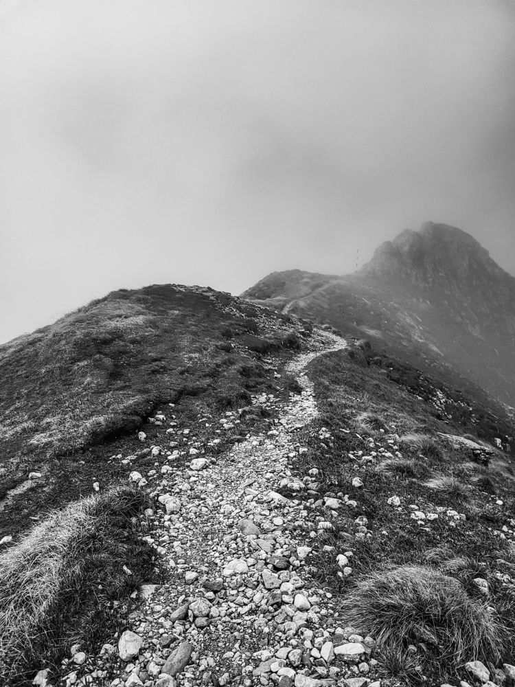 Photograph by David-Alexandru Span