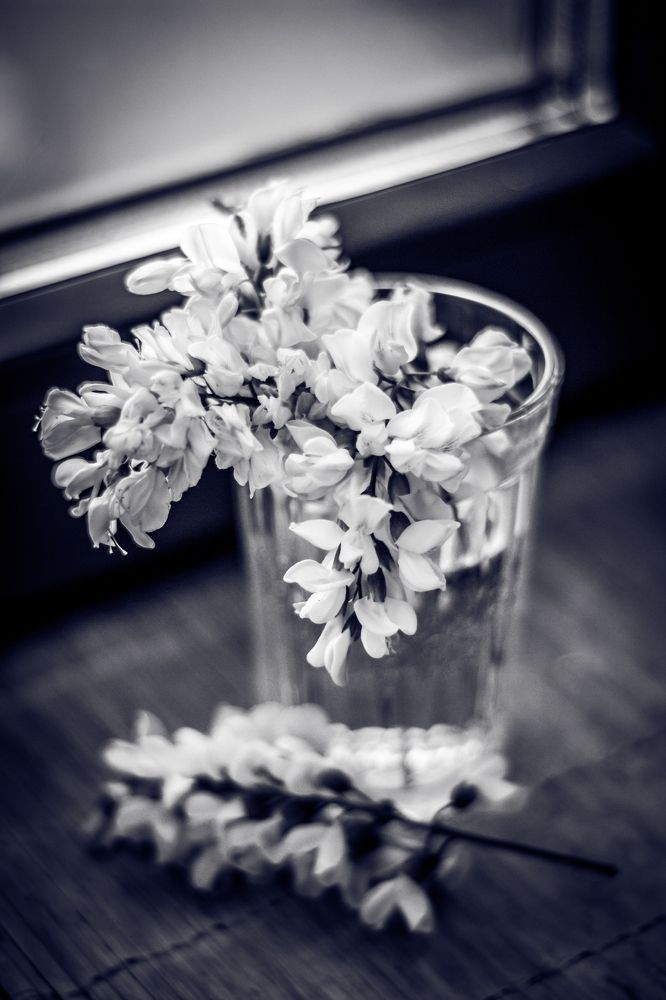 Photograph by Анна Крюкова