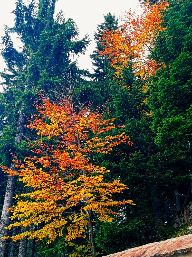 Photograph by Ajdina Dogan