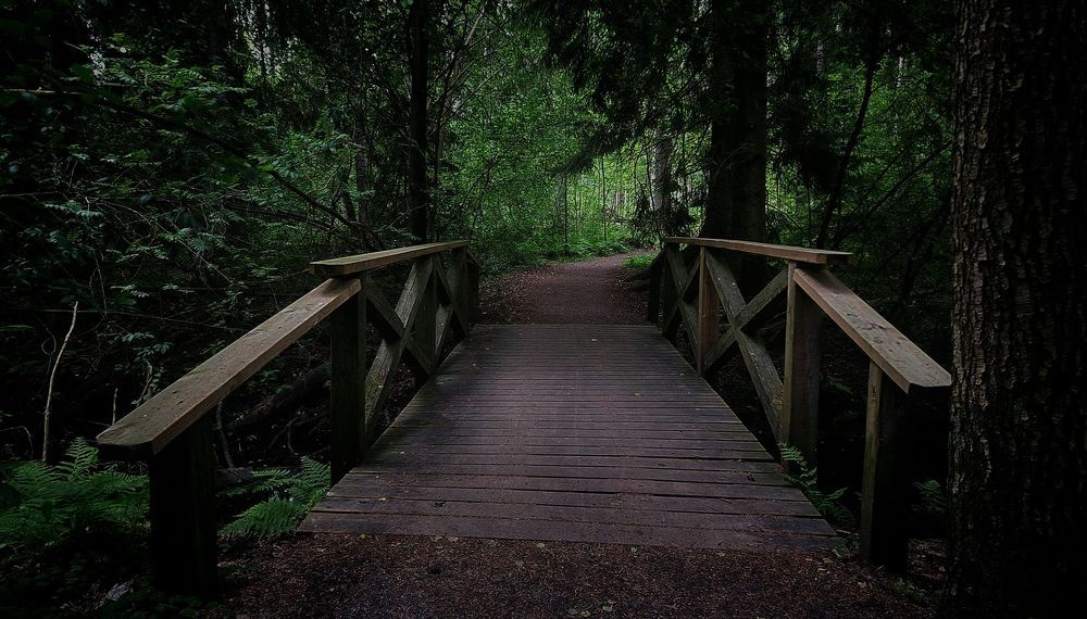 Photograph by Epp Tappel