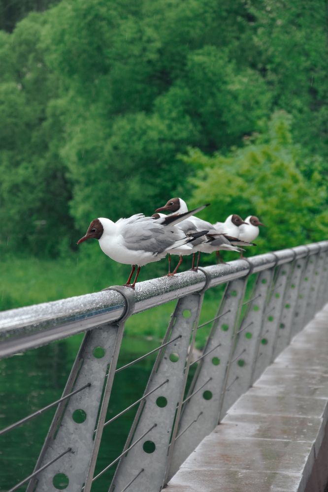 Photograph by Ксения Прохорова