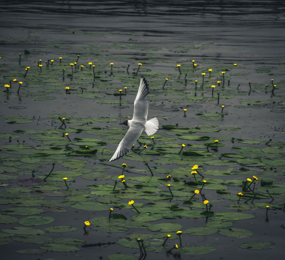 Photograph by Ксения Прохорова