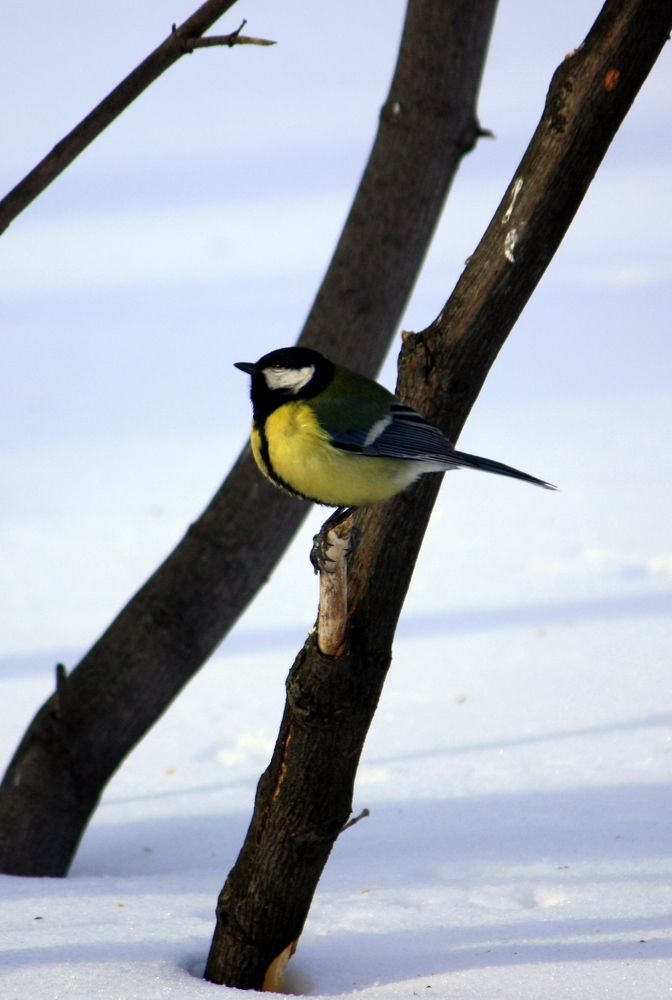 Photograph by Ольга Павлова