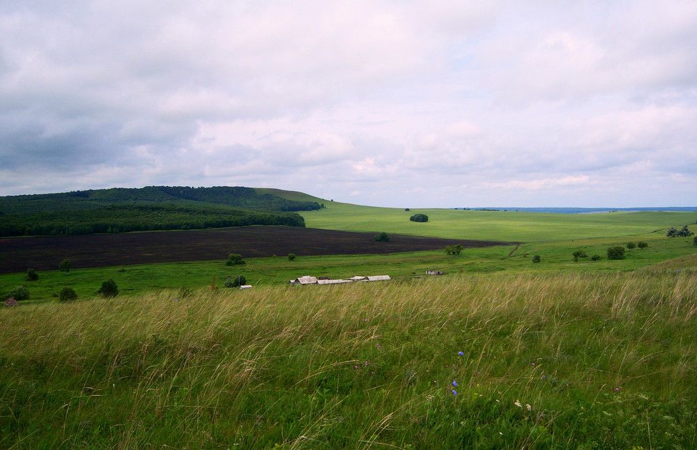 Photograph by Ольга Павлова