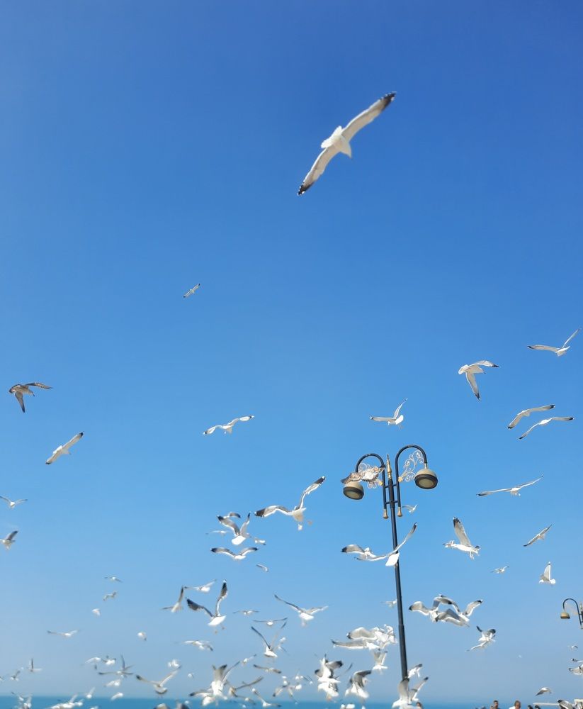 Photograph by amin karimi