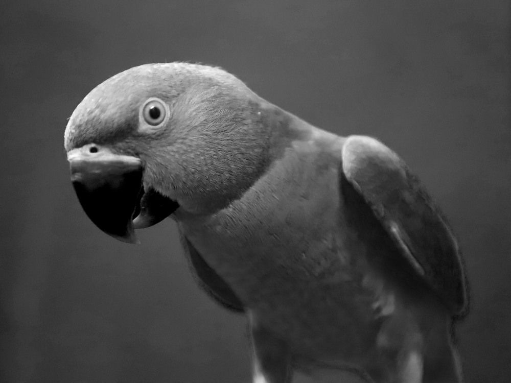 Photograph by Bhanupriya Marke