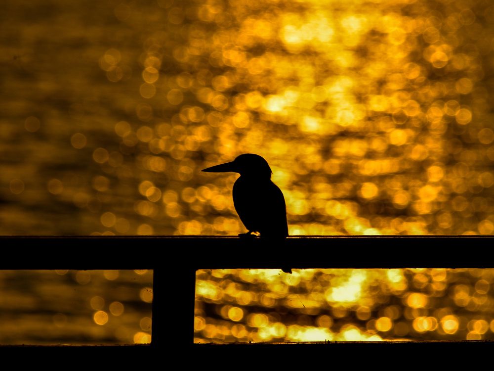 Photograph by Bhanupriya Marke