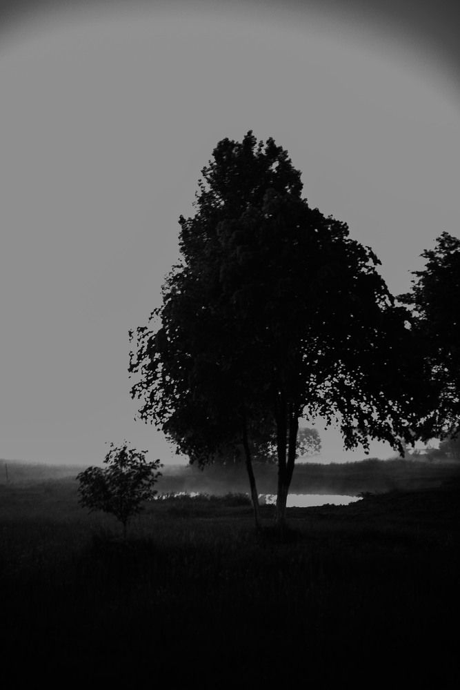 Photograph by Богдан Гаврилюк