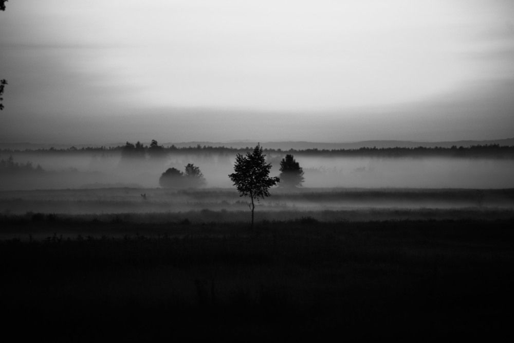 Photograph by Богдан Гаврилюк