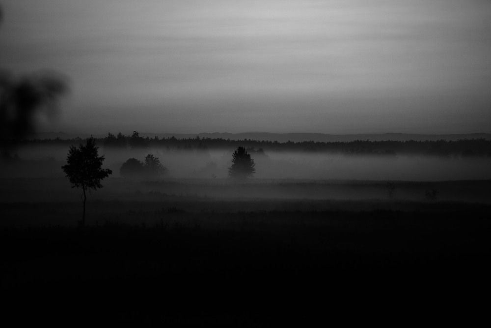 Photograph by Богдан Гаврилюк