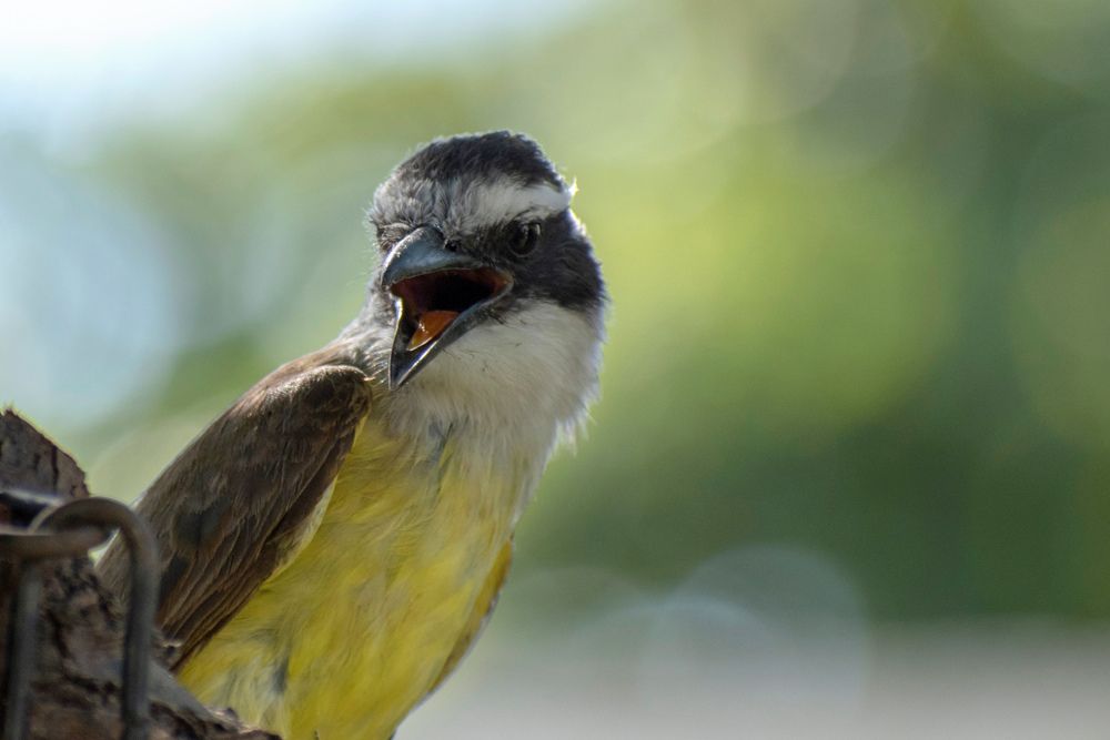 Photograph by Lucía Ruiz