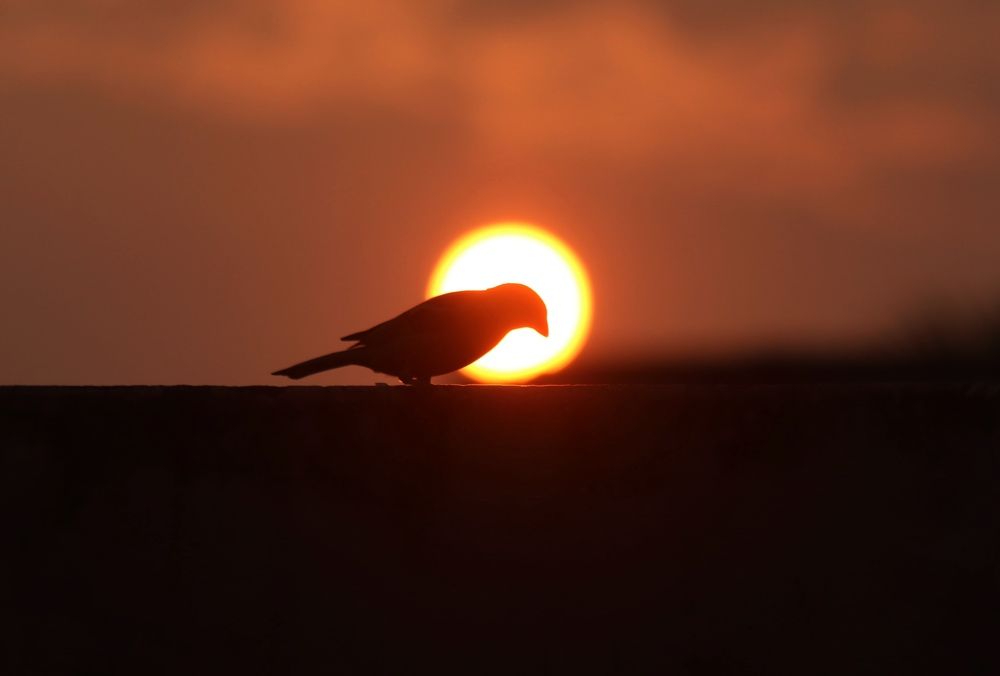 Photograph by Ekra Tasfia