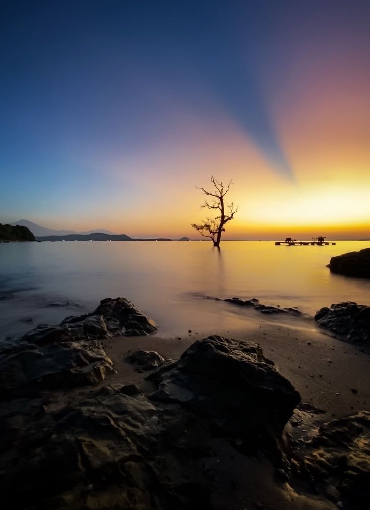 Фотография автора Henri Fitriadi