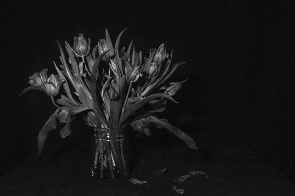 Фотография автора Наталья Татаринова