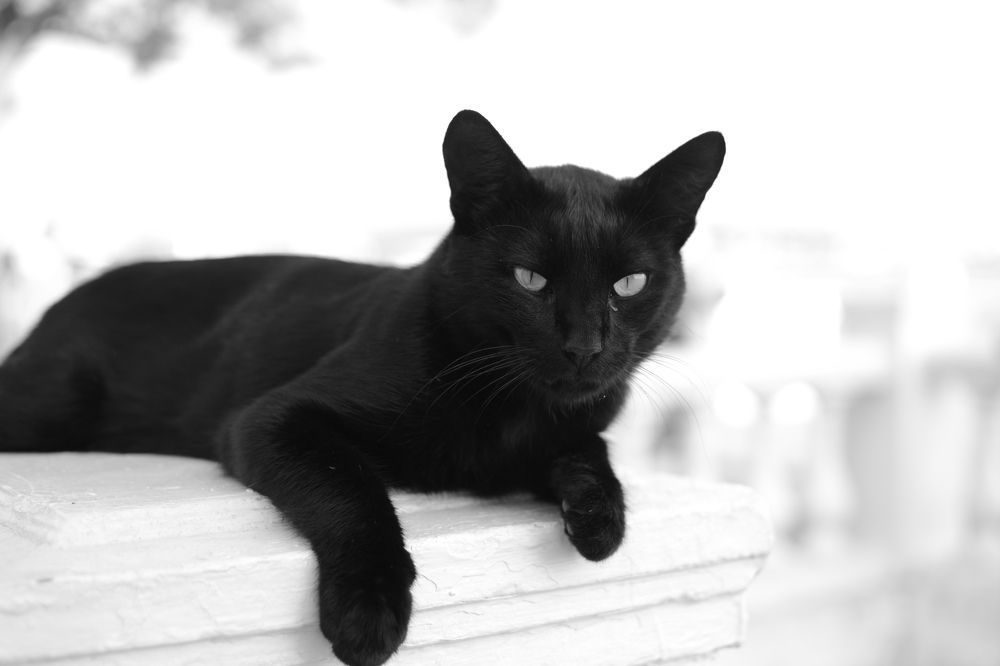 Photograph by Игорь Блинов