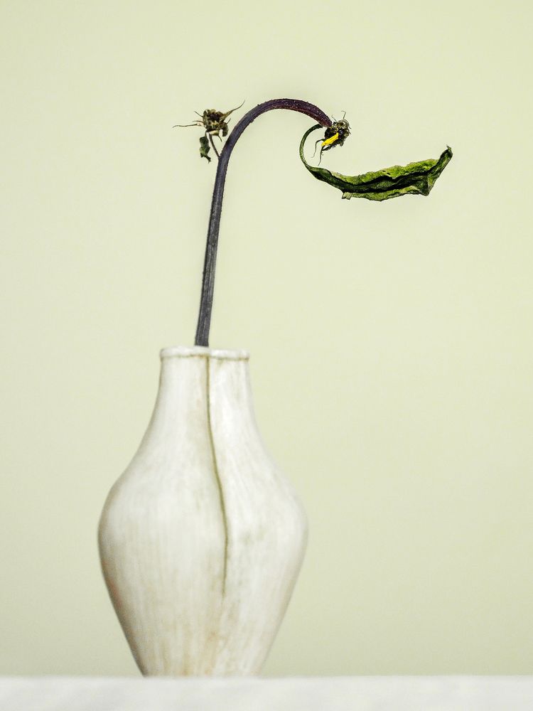 Photograph by Kveta Novotna