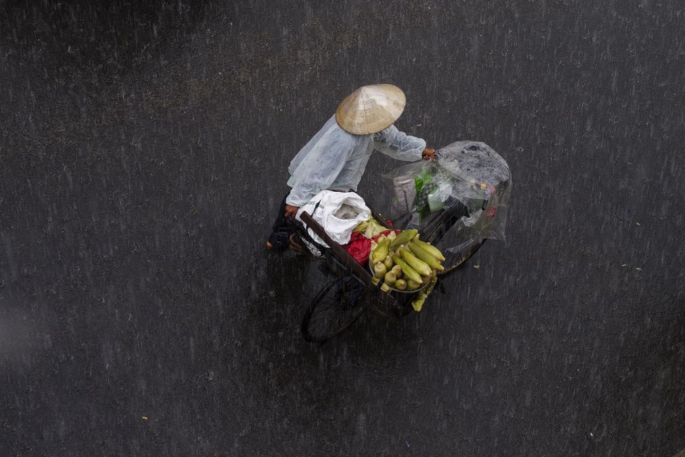 Фотография автора Thien Thanh