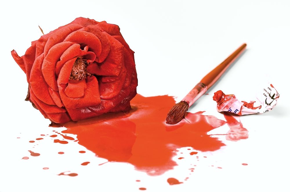 Photograph by Kveta Novotna