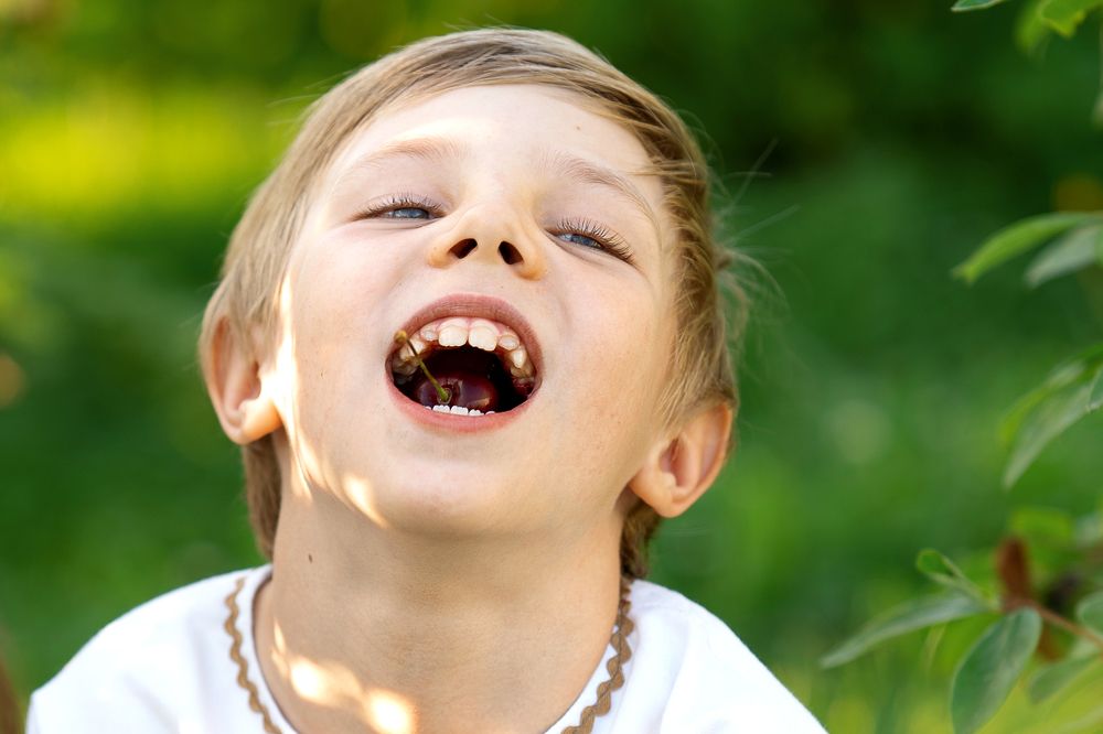 Photograph by Julia Moiseenko