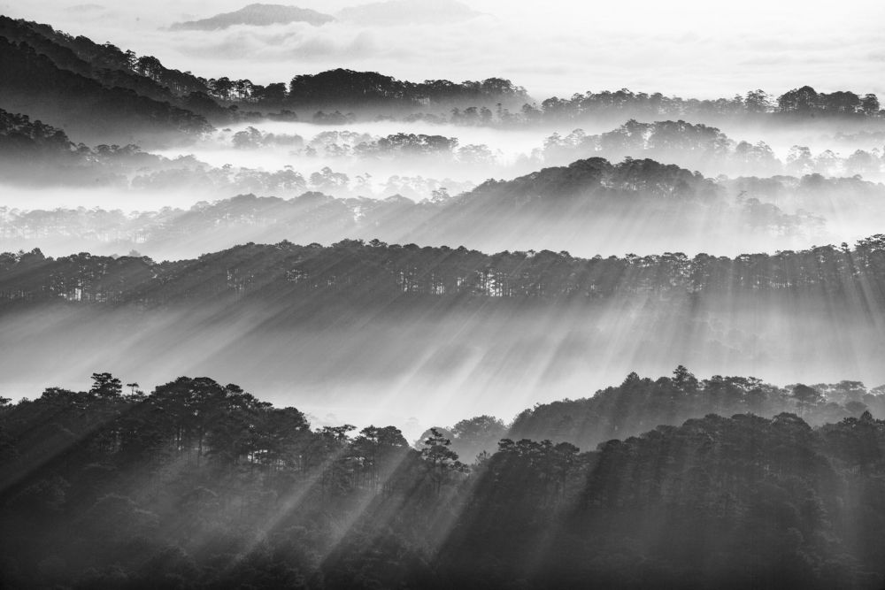 Photograph by Van Nguyen