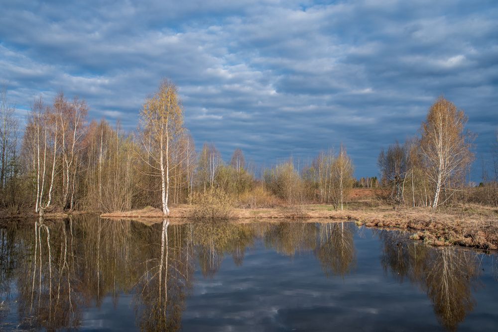 Фотография автора Виктор Руденко