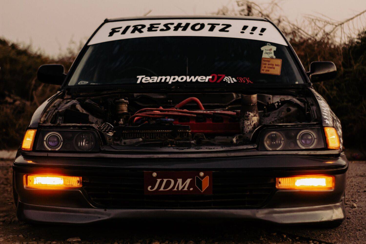 Photo #7720203