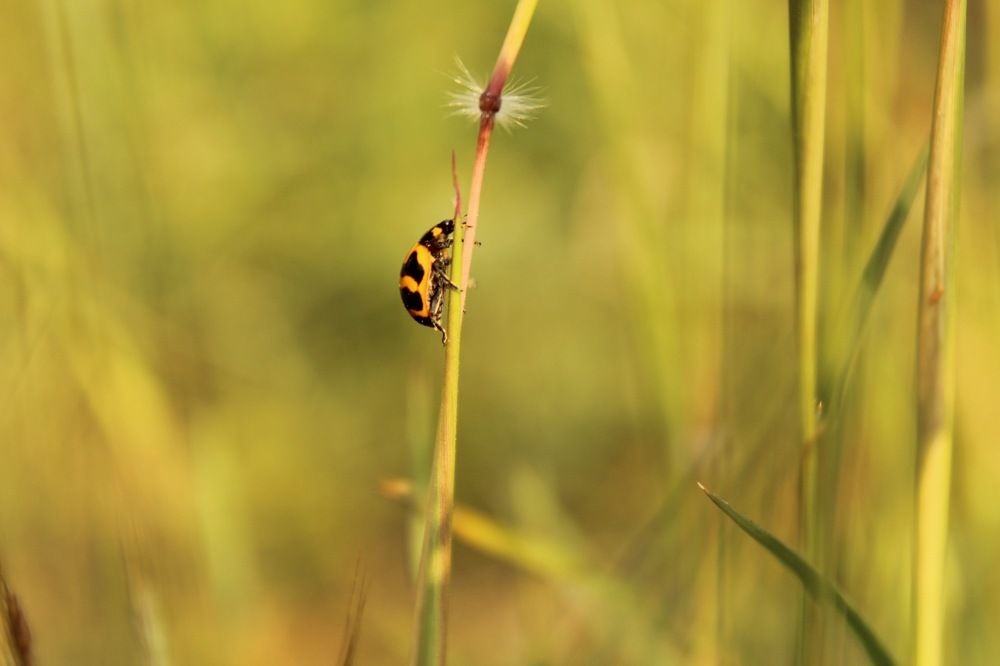 Photograph by deepapatre36@gmail.com