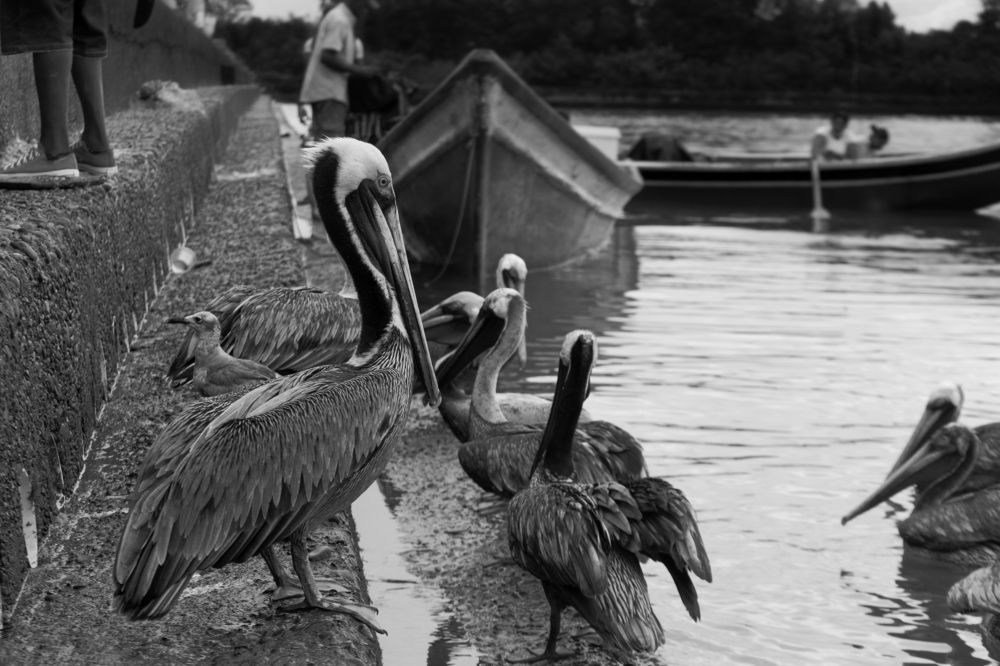 Photograph by Manuel Torres