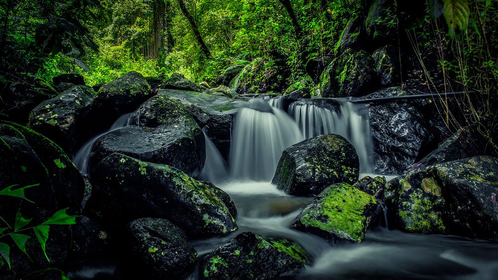 Photograph by Kalpa Aponsu