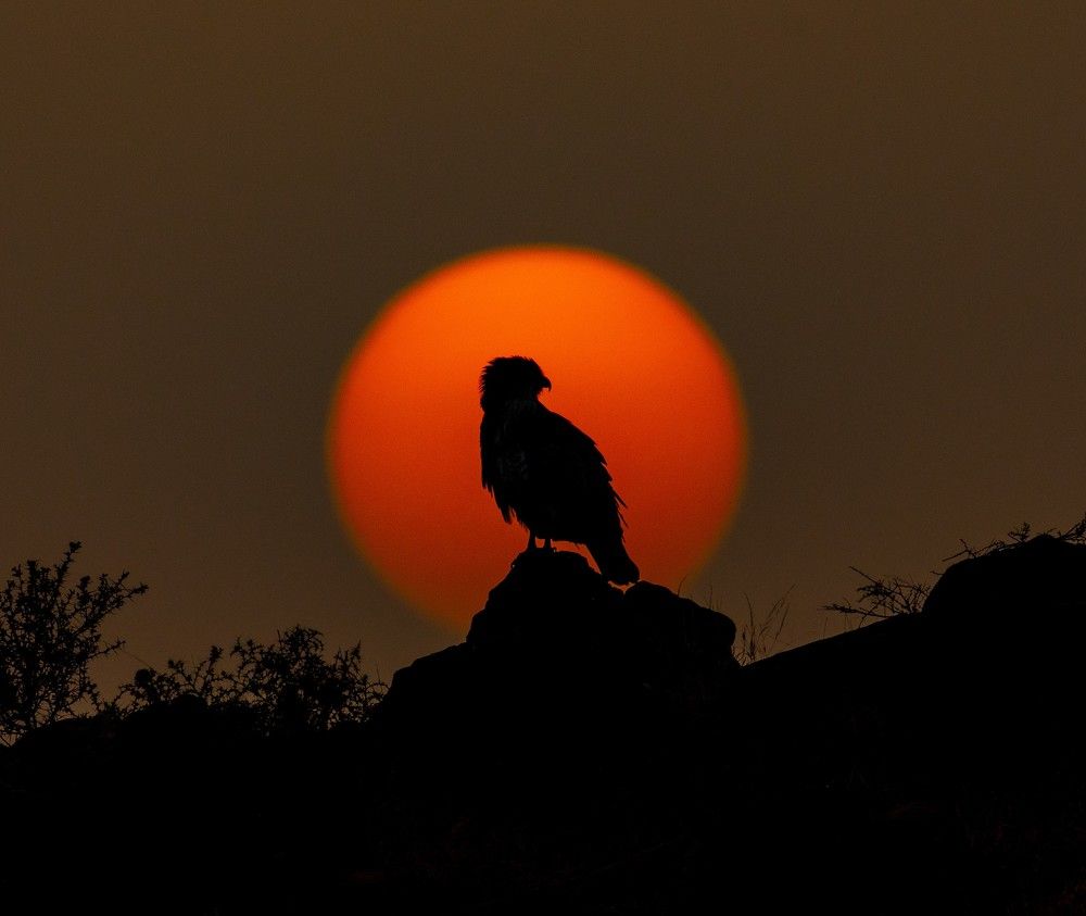 Photograph by viraj pharande