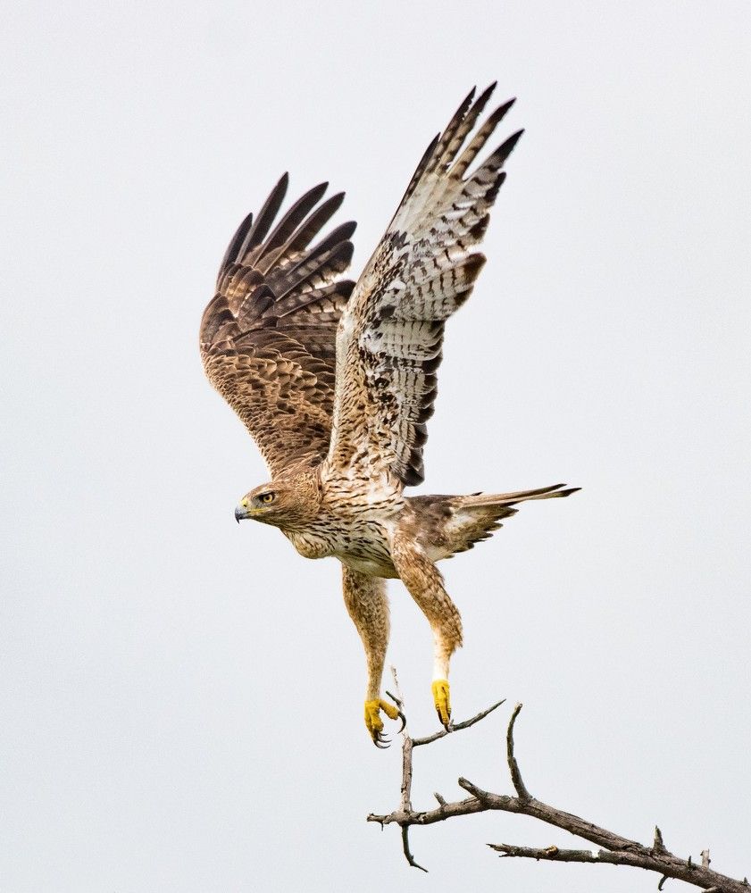 Photograph by viraj pharande