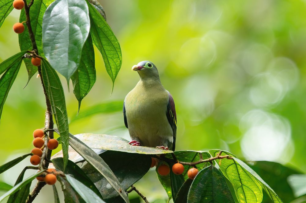 Photograph by Yoke Moy Liew