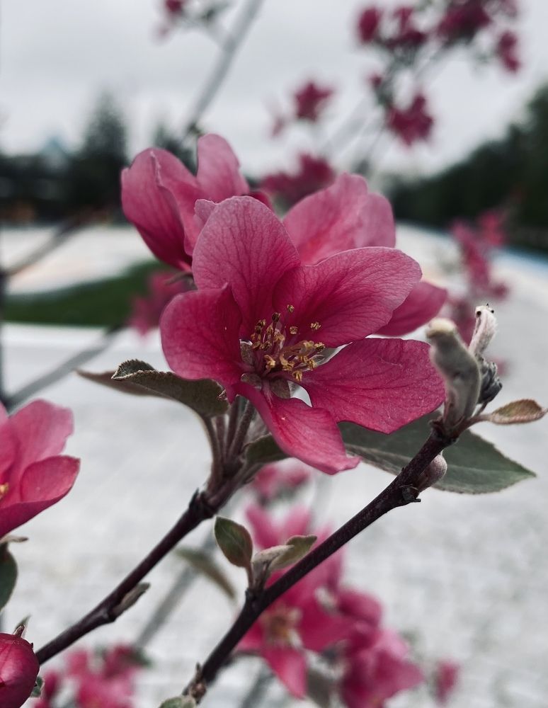 Photograph by Nastenkar12@mail.ru