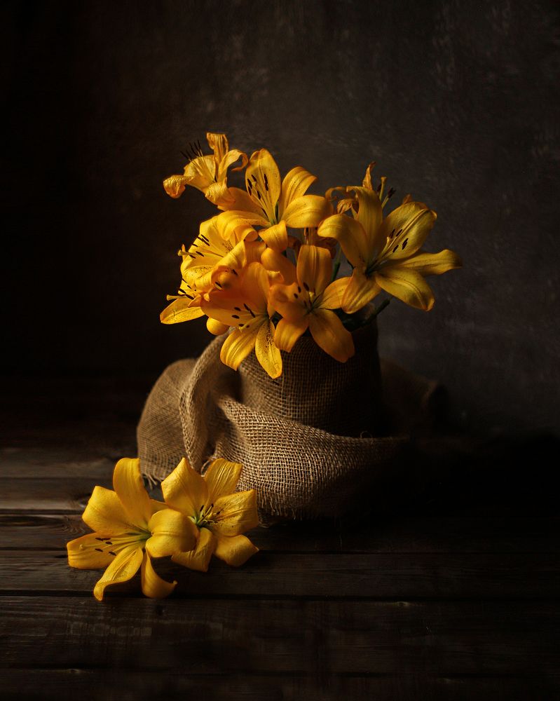 Photograph by Екатерина Грешнова