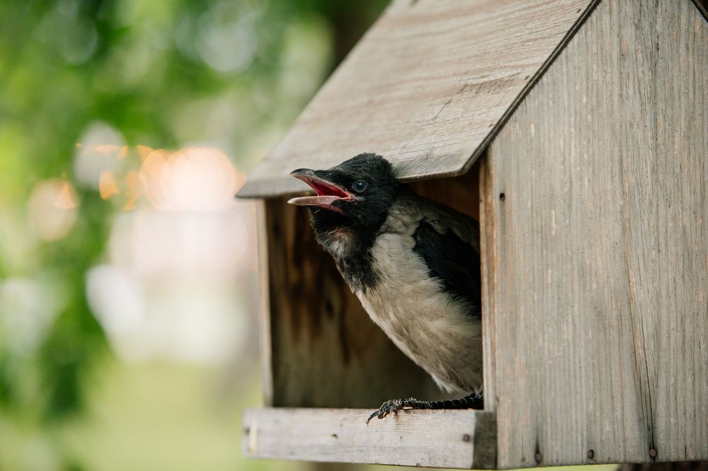 Photograph by Маргарита Бредихина