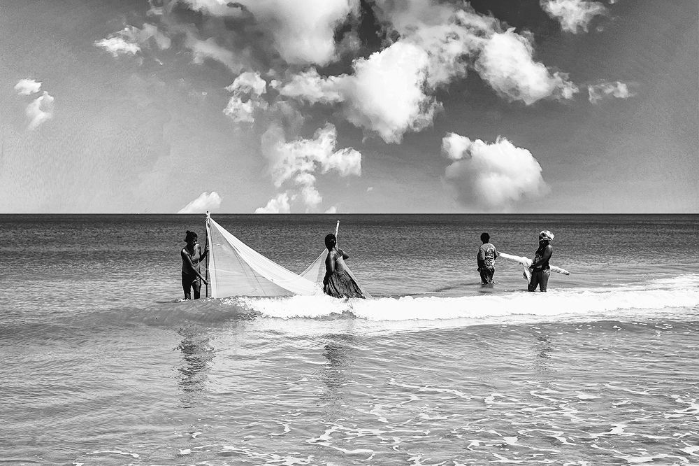 Photograph by Louloua asgaraly