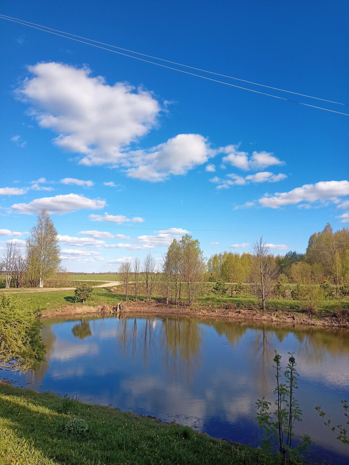 Photo #7720490