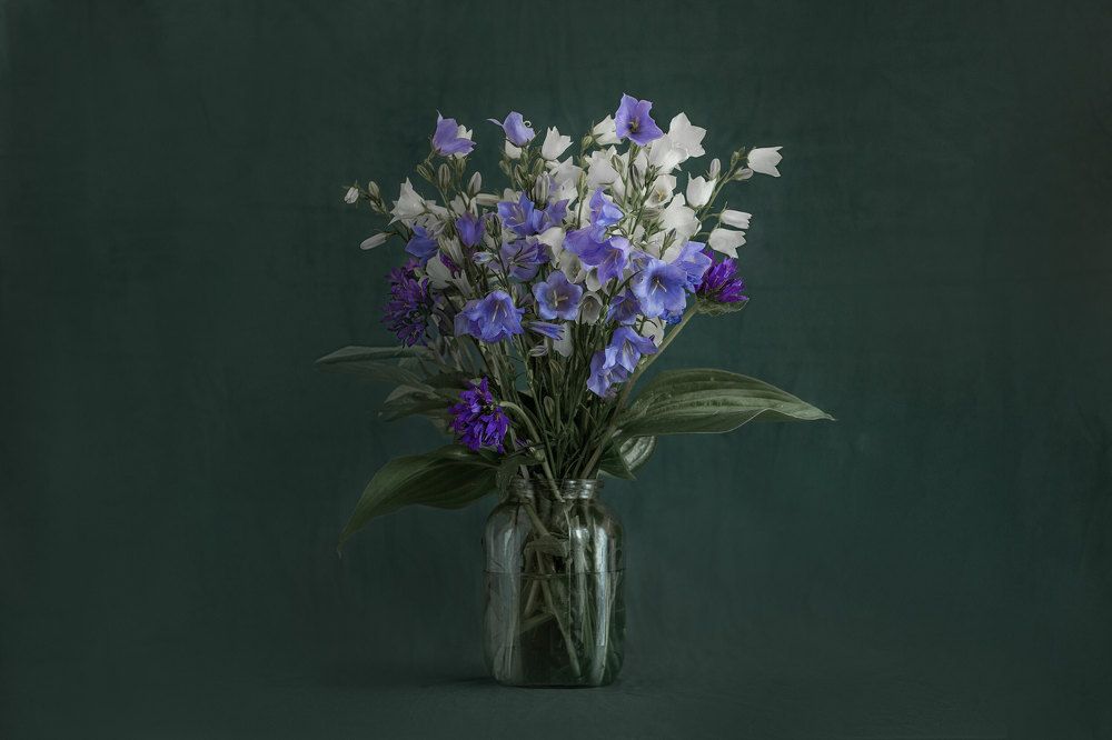 Photograph by Сергей Евневич