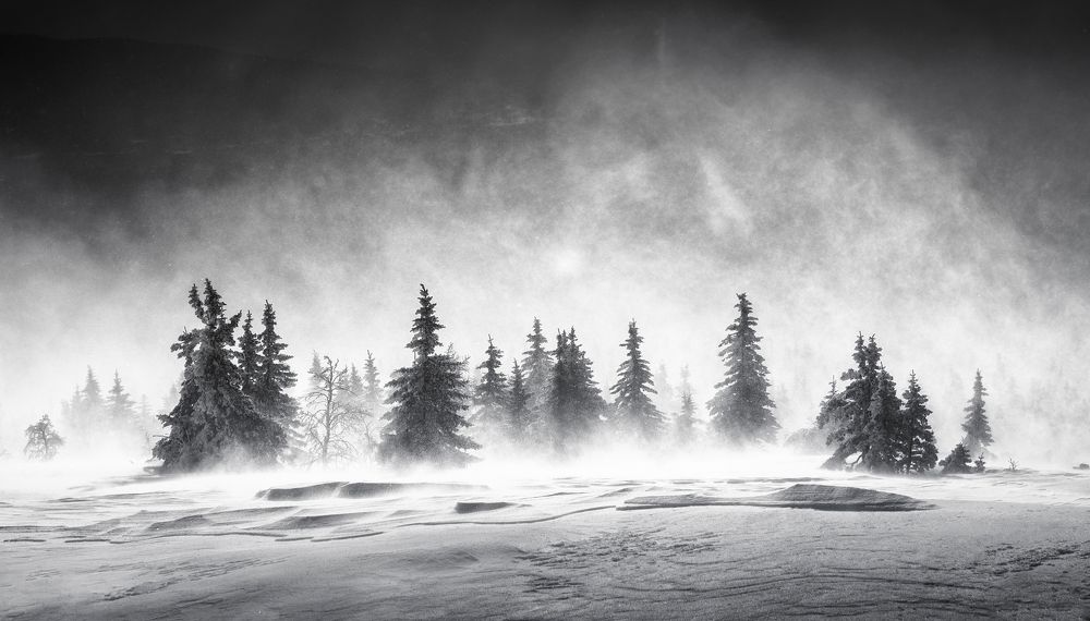 Photograph by Бирюкова Татьяна