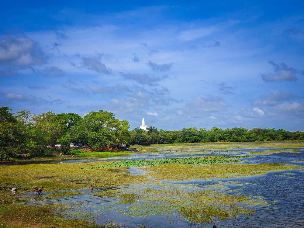 Photograph by DINETH NAMBUKARAWASAM MAHASARANGU HEWAG