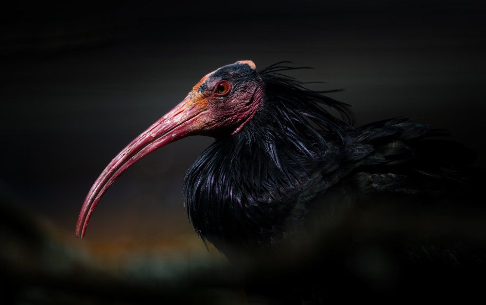 Photograph by Ismail Abdelkareem