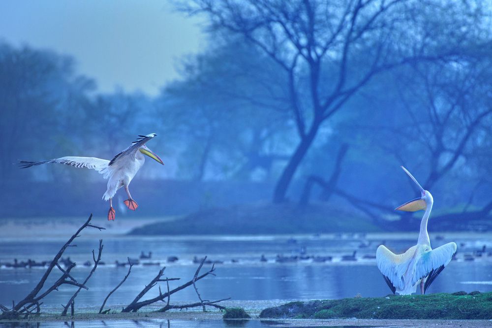 Photograph by Jai Tripathi