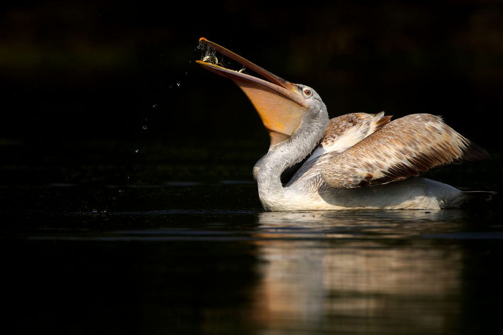 Photograph by Jai Tripathi