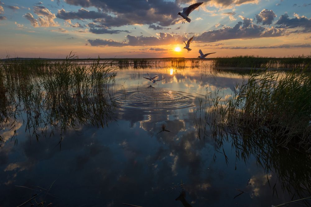 Photograph by Сергей Кочмарёв