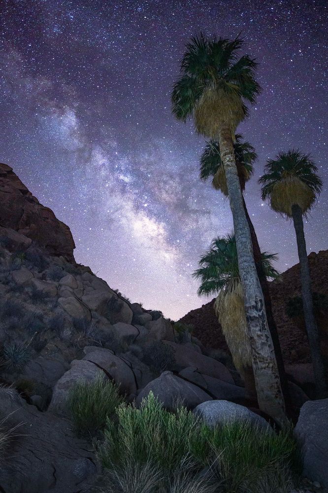 Фотография автора Robert Welsted