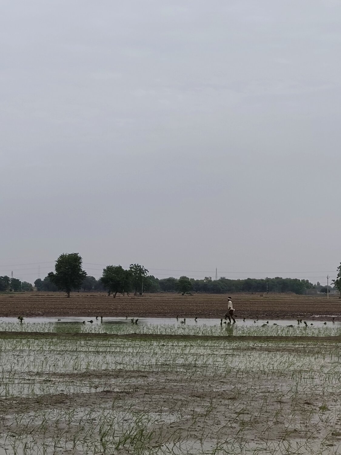 Photo #7720804